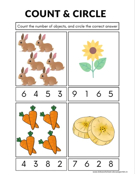 Count and Circle the Correct Number